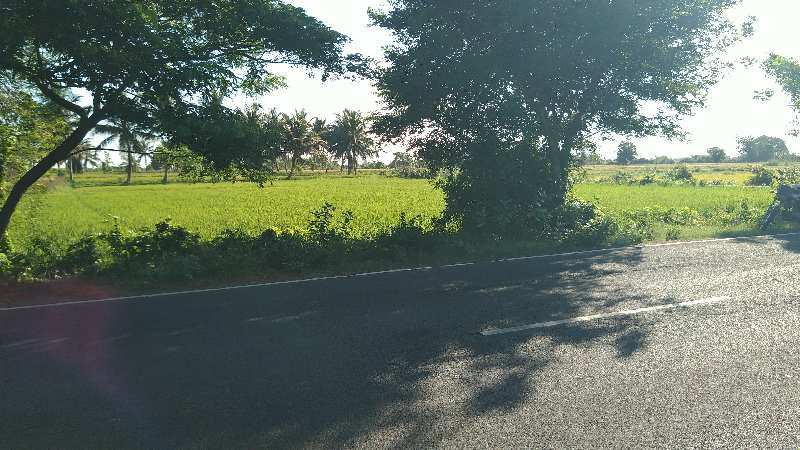 Commercial Land For Sale In Erode – 90Days Property