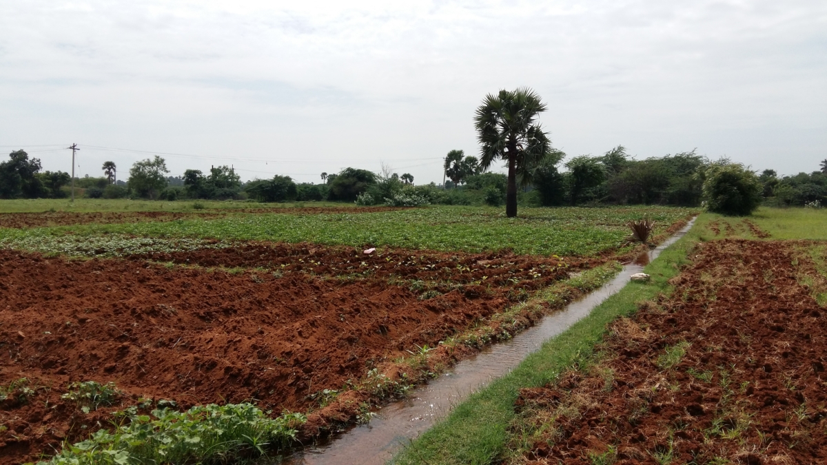 Farm land for sale in Chennai – 90Days Property